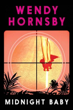 Wendy Hornsby Midnight Baby обложка книги