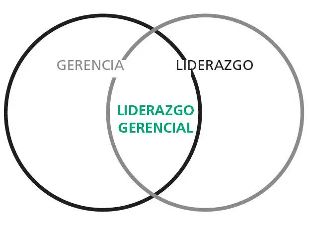 Convencionalmente utilizamos el término gerente en un sentido bien amplio - фото 2