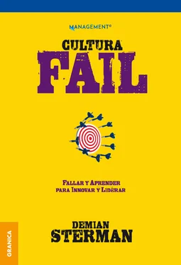 Demian Sterman Cultura FAIL обложка книги