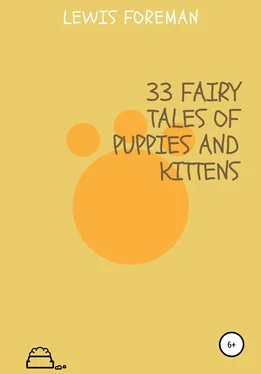 Lewis Foreman 33 fairy tales of puppies and kittens обложка книги