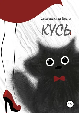 Станислава Брага Кусь обложка книги