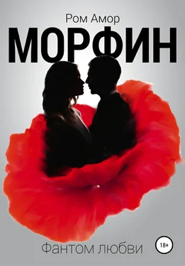 Ром Амор Морфин. Фантом любви обложка книги