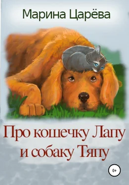 Марина Царёва Про кошечку Лапу и собаку Тяпу обложка книги