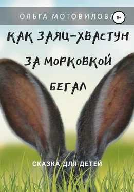 Ольга Мотовилова Как Заяц-хвастун за морковкой бегал обложка книги