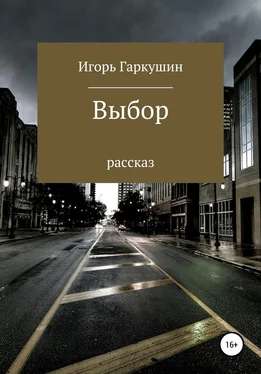 Игорь Гаркушин Выбор обложка книги