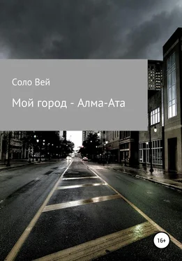 Соло Вей Мой город – Алма-Ата обложка книги