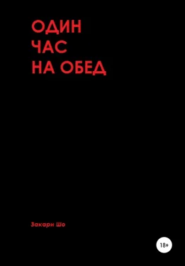 Закари Шо Один час на обед обложка книги