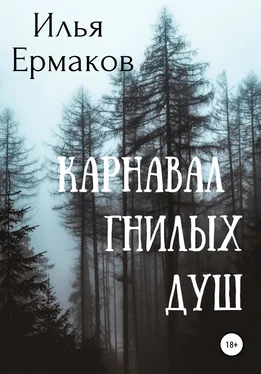 Илья Ермаков Карнавал гнилых душ обложка книги