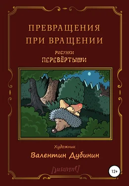 Валентин Дубинин Превращения при вращении обложка книги