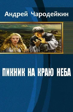 Андрей Чародейкин Пикник на краю неба обложка книги