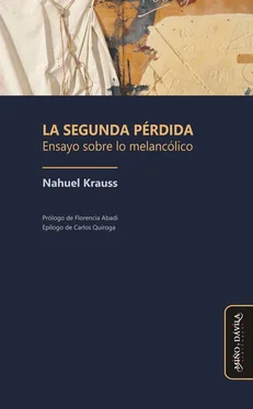 Nahuel Krauss La segunda pérdida обложка книги