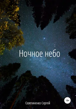 Сергей Селегиненко Ночное небо обложка книги