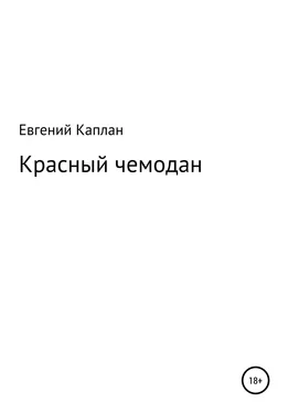 Евгений Каплан Красный чемодан обложка книги