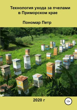 Петр Пономар Технология ухода за пчелами в Приморском крае обложка книги