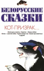 Владимир Адамчик - Белорусские сказки. Кот-призрак…