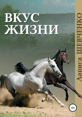 Лариса Шевченко Вкус жизни обложка книги