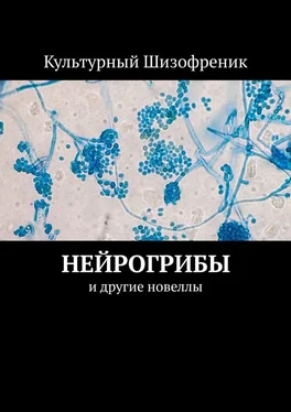 Культурный Шизофреник Нейрогрибы. И другие новеллы обложка книги