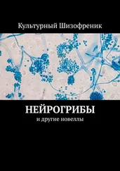 Культурный Шизофреник - Нейрогрибы. И другие новеллы