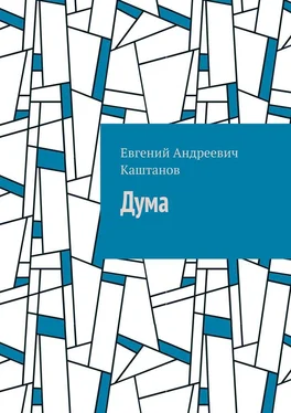 Евгений Каштанов Дума обложка книги