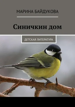 Марина Байдукова Синичкин дом. Детская литература обложка книги