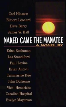 Brian Antoni Naked Came the Manatee обложка книги