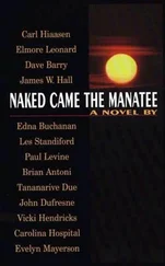 Brian Antoni - Naked Came the Manatee