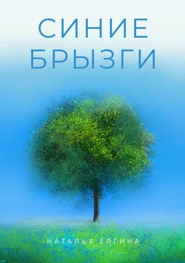 Наталья Елгина Синие брызги обложка книги