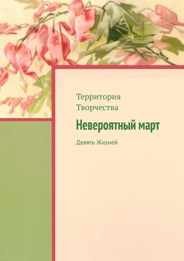 Валентина Спирина Невероятный март. Девять Жизней обложка книги