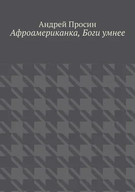 Андрей Просин Афроамериканка, Боги умнее обложка книги