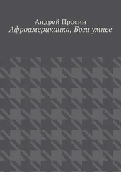 Андрей Просин - Афроамериканка, Боги умнее