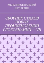 ВАЛЕРИЙ МЕЛЬНИКОВ - СБОРНИК СТИХОВ НОВЫХ ПРОНИКНОВЕНИЙ СЛОВОЗНАНИЙ – VII