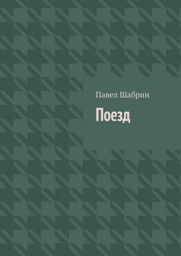 Павел Шабрин Поезд обложка книги