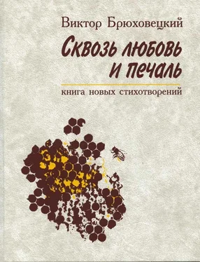 Виктор Брюховецкий Сквозь любовь и печаль обложка книги