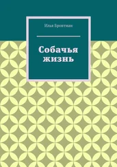 Илья Бровтман - Собачья жизнь
