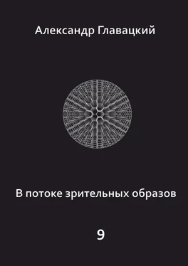 Александр Главацкий В потоке зрительных образов – 9 обложка книги