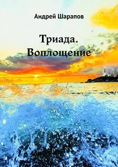 Андрей Шарапов - Триада. Воплощение