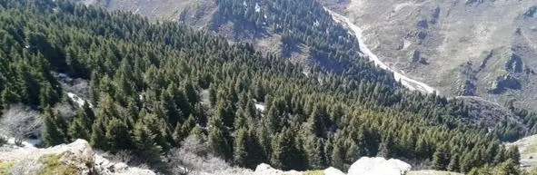 Ущепье Пригорки Река Сарканка в щеках - фото 1