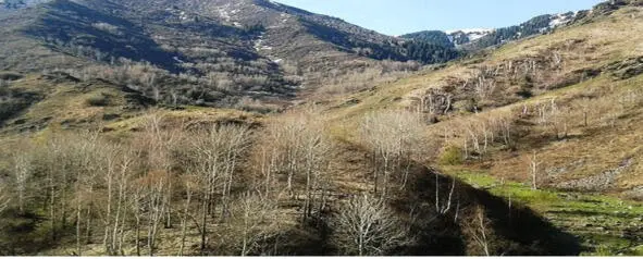 Пригорки Река Сарканка в щеках Слёзки - фото 2