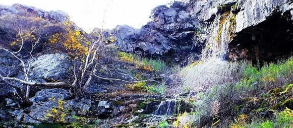 Слёзки Сарканка в городе Осенние горы - фото 4