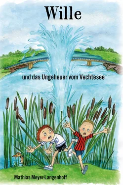 Mathias Meyer-Langenhoff Wille und das Ungeheuer vom Vechtesee обложка книги