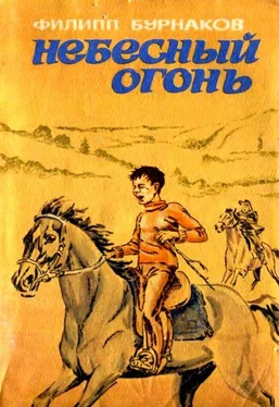 Филипп Бурнаков Небесный огонь обложка книги