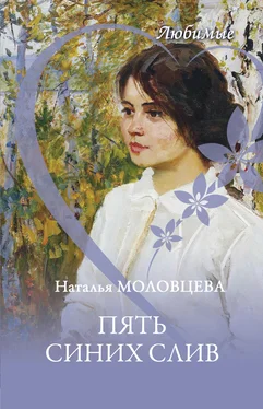 Наталья Молодцева Пять синих слив обложка книги