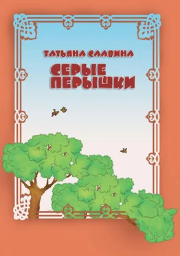 Татьяна Славина Серые перышки обложка книги