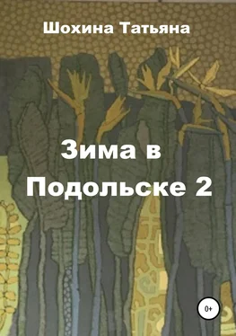 Татьяна Шохина Зима в Подольске 2 обложка книги