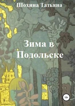 Татьяна Шохина Зима в Подольске обложка книги