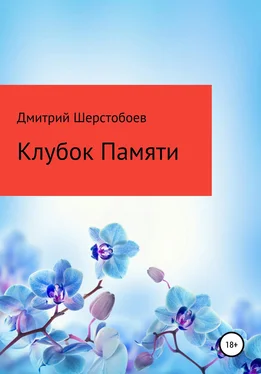 Дмитрий Шерстобоев Клубок памяти обложка книги