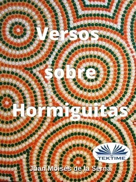 Serna Moisés De La Juan Versos Sobre Hormiguitas обложка книги