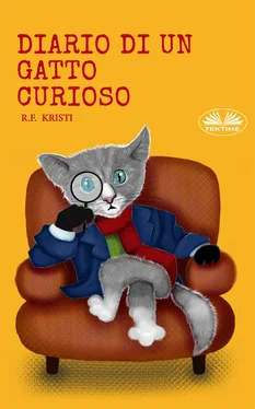 R. F. Kristi Diario Di Un Gatto Curioso обложка книги