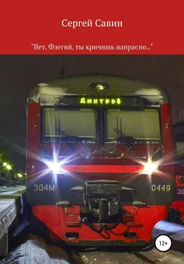Сергей Савин «Нет, Флегий, ты кричишь напрасно…» обложка книги
