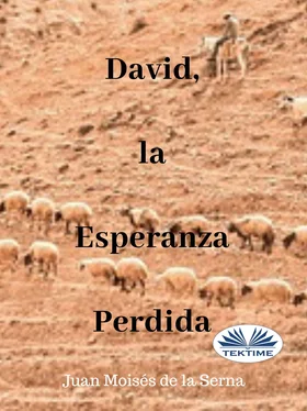 Serna Moisés De La Juan David, La Esperanza Perdida обложка книги